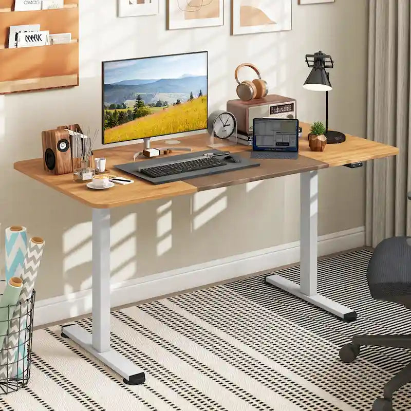 55 Electric Standing Desk Height Adjustable Home Office Table