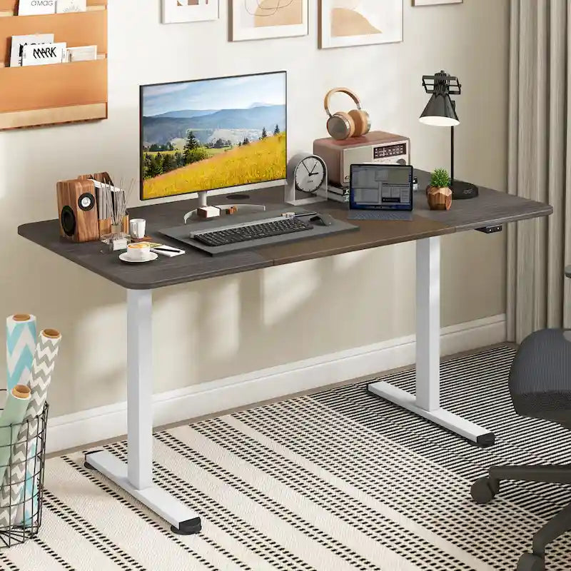 55 Electric Standing Desk Height Adjustable Home Office Table